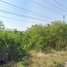  Land for sale in Mueang Pathum Thani, Pathum Thani, Bang Khu Wat, Mueang Pathum Thani