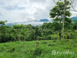  Terreno (Parcela) en venta en Costa Rica, Pérez Zeledón, San José, Costa Rica