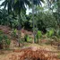  Земельный участок for sale in Ban Tai, Сураттани, Ban Tai, Koh Phangan, Сураттани