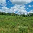  Terreno for sale in Amazonas, Tefé, Tefé, Amazonas