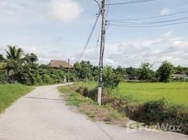  Земельный участок for sale in Сан Патонг, Чианг Маи, San Klang, Сан Патонг