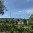  Land for sale in Bo Phut, Surat Thani, Bo Phut