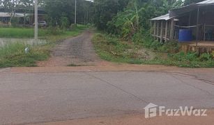 N/A Land for sale in Thuem Tong, Nan 