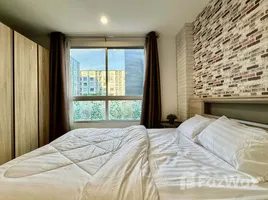 อพาร์ทเม้นท์ 1 ห้องนอน ให้เช่า ในโครงการ เดอะ นิช ไอดี เสรีไทย, คันนายาว, คันนายาว, กรุงเทพมหานคร, ไทย