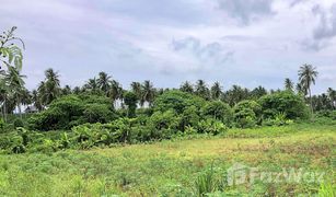 芭提雅 Nong Kham N/A 土地 售 