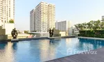 Communal Pool at Ivy Thonglor