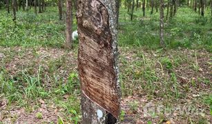 N/A Grundstück zu verkaufen in Khuan Phang, Nakhon Si Thammarat 