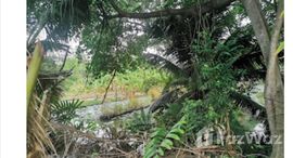 ยูนิตมือสองและให้เช่า