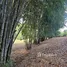 Land for sale in Perez Zeledon, San Jose, Perez Zeledon