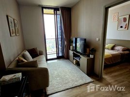 1 Schlafzimmer Wohnung zu verkaufen im Oka Haus, Khlong Tan, Khlong Toei, Bangkok