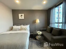 อพาร์ทเม้นท์ 1 ห้องนอน ให้เช่า ในโครงการ เอกซ์ที ห้วยขวาง, ดินแดง, ดินแดง