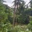  Terrain for sale in Ko Pha-Ngan, Ko Pha-Ngan, Ko Pha-Ngan