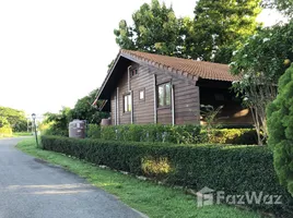 4 Schlafzimmer Haus zu verkaufen im Phu Patra, Phaya Yen, Pak Chong, Nakhon Ratchasima