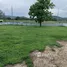  Land for sale in Si Bua Ban, Lamphun, Si Bua Ban, Mueang Lamphun