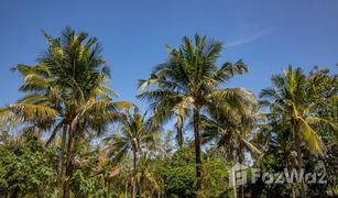 N/A Grundstück zu verkaufen in Ban Kao, Kanchanaburi 