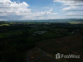 N/A Land for sale in Khaem Son, Phetchabun Great View Khao Kho Land For sale With Title Deed