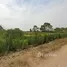  Land for sale in Pathum Thani, Phuet Udom, Lam Luk Ka, Pathum Thani