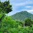  Land for sale in Bo Phut, Surat Thani, Bo Phut, Koh Samui