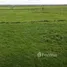  Grundstück zu verkaufen in Maracana, Para, Maracana