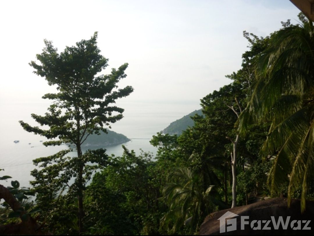 Land for Sale in Ko Tao, Koh Samui for ฿1,400,000 U1417174