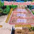  Land for sale in Phe, Rayong, Phe, Mueang Rayong, Rayong, Thailand