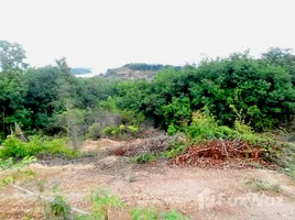  Terrain for sale in Phuket, Pa Khlok, Thalang, Phuket