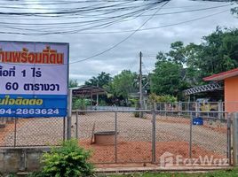 3 Bedroom House for sale in Thailand, San Sai, Mueang Chiang Rai, Chiang Rai, Thailand