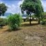  Terreno (Parcela) en venta en Cartago, Cartago, Cartago