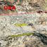  Land for sale in Baja California, Tecate, Baja California