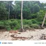  Land for sale in Ban Tai, Surat Thani, Ban Tai, Koh Phangan, Surat Thani, Thailand