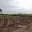  Terreno (Parcela) en venta en Khon Kaen, Non Sa-At, Nong Ruea, Khon Kaen