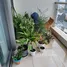 4 Habitación Apartamento en alquiler en Gateway Thao Dien, Thao Dien