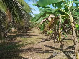  Terrain for sale in Amazonas, Presidente Figueiredo, Amazonas