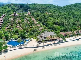 100 Schlafzimmer Hotel / Resort zu verkaufen in Koh Samui, Surat Thani, Bo Phut