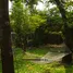 ขายบ้านเดี่ยว 3 ห้องนอน ใน ดินแดง, กรุงเทพมหานคร, ดินแดง, ดินแดง, กรุงเทพมหานคร, ไทย