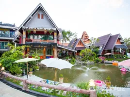 16 Habitación Hotel en venta en Chiang Mai, San Pa Pao, San Sai, Chiang Mai