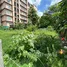  Land for sale in Bang Sue, Bangkok, Bang Sue, Bang Sue, Bangkok