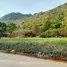  Land for sale in Mu Si, Nakhon Ratchasima, Mu Si, Pak Chong