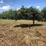  Land for sale at Liberia, Liberia, Guanacaste