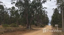 Verfügbare Objekte im Algarrobo