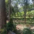 Terrain à vendre à Thong Nian, Nakhon Si Thammarat, Thong Nian, Khanom