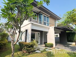 3 Habitación Villa en alquiler en Inizio Chiangmai, San Kamphaeng, San Kamphaeng, Chiang Mai, Tailandia