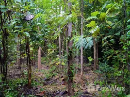 ウサイ・タニ で売却中 土地区画, Huai Haeng, バンライ, ウサイ・タニ