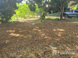  Terrain for sale in Chiang Mai, Nong Faek, Saraphi, Chiang Mai