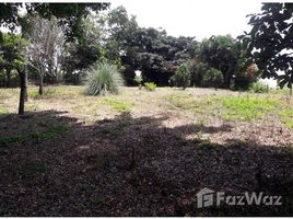 N/A Land for sale in , Alajuela Alajuela