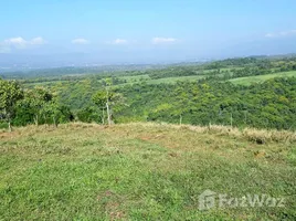  Terreno (Parcela) en venta en Costa Rica, Pérez Zeledón, San José, Costa Rica