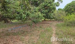 N/A Land for sale in Thung Satok, Chiang Mai 