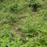  Terreno (Parcela) en venta en Puerto Quito, Pichincha, Puerto Quito, Puerto Quito