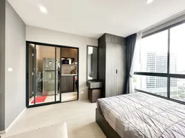 Studio Wohnung zu verkaufen im Elio Del Nest, Bang Na, Bang Na, Bangkok, Thailand