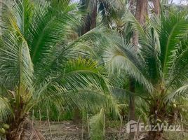 ขายที่ดิน ใน แพงพวย, ราชบุรี, แพงพวย, ดำเนินสะดวก